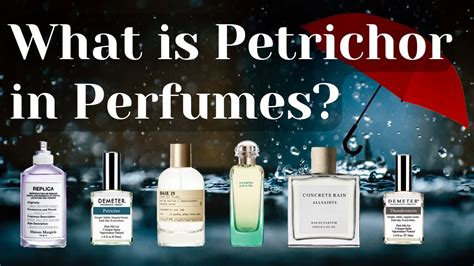 petrichor smell perfume